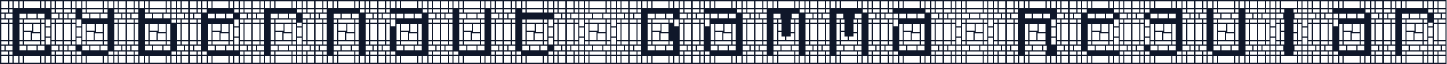 Cybernaut Gamma Regular