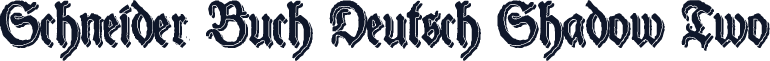 Schneider Buch Deutsch Shadow Two