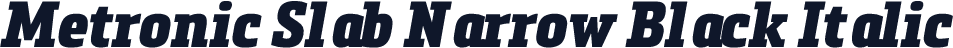 Metronic Slab Narrow Black Italic