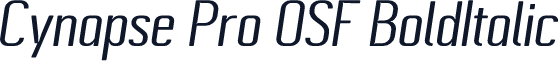 Cynapse Pro OSF BoldItalic