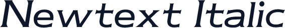 Newtext Italic