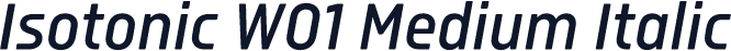Isotonic W01 Medium Italic