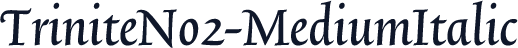 TriniteNo2-MediumItalic