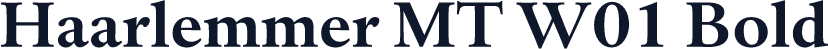 Haarlemmer MT W01 Bold