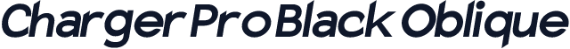 Charger Pro Black Oblique