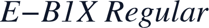 E-B1X Regular