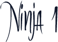 Ninja 1