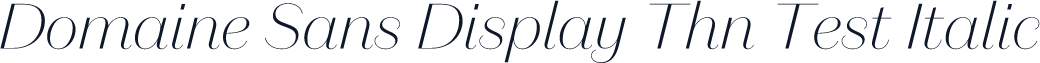 Domaine Sans Display Thn Test Italic