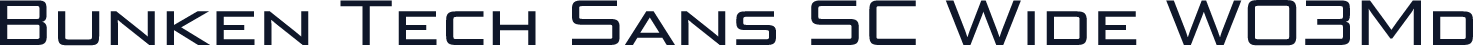 Bunken Tech Sans SC Wide W03Md