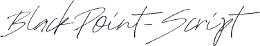 BlackPoint-Script