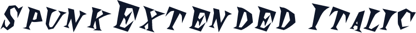 SpunkExtended Italic