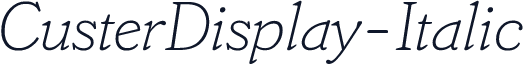CusterDisplay-Italic