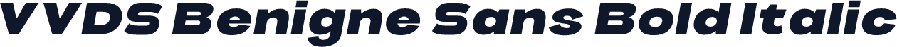 VVDS Benigne Sans Bold Italic