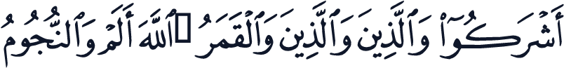 QCF_P334