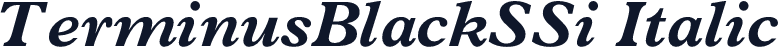 TerminusBlackSSi Italic