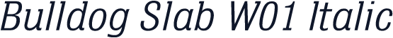 Bulldog Slab W01 Italic