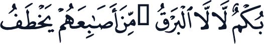 QCF_P004