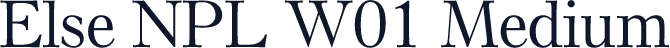 Else NPL W01 Medium