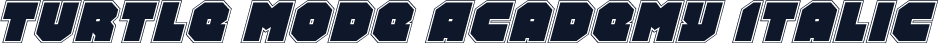 Turtle Mode Academy Italic