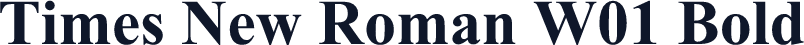 Times New Roman W01 Bold