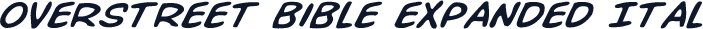 Overstreet Bible Expanded Ital
