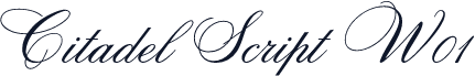 Citadel Script W01