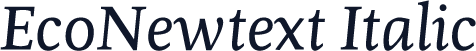 EcoNewtext Italic