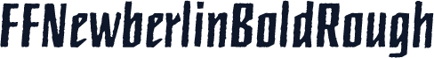 FFNewberlinBoldRough