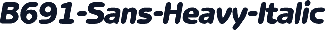 B691-Sans-Heavy-Italic