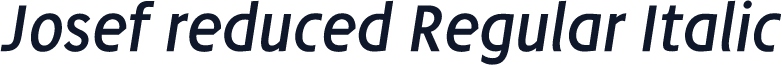 Josef reduced Regular Italic