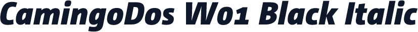 CamingoDos W01 Black Italic