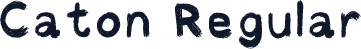 Caton Regular