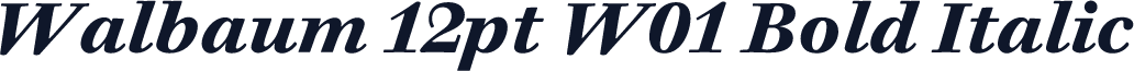 Walbaum 12pt W01 Bold Italic