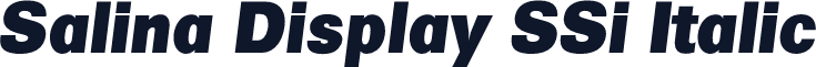 Salina Display SSi Italic