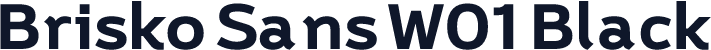 Brisko Sans W01 Black
