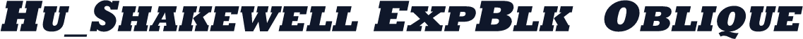 Hu_Shakewell ExpBlk  Oblique
