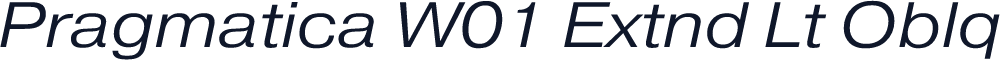 Pragmatica W01 Extnd Lt Oblq
