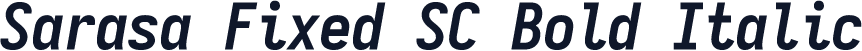 Sarasa Fixed SC Bold Italic