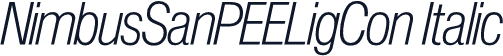 NimbusSanPEELigCon Italic