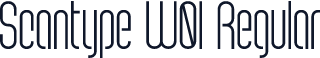 Scantype W01 Regular