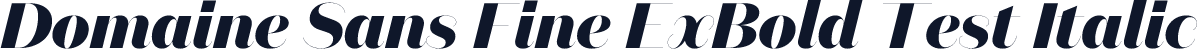Domaine Sans Fine ExBold Test Italic