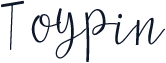 Toypin