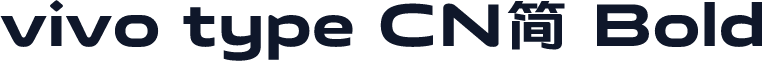 vivo type CN简 Bold