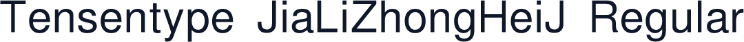 Tensentype JiaLiZhongHeiJ Regular