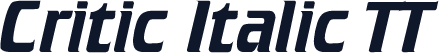 Critic Italic TT