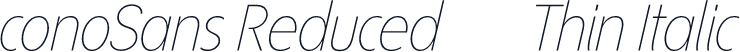 ÉconoSans Reduced 36 Thin Italic