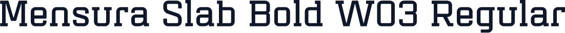 Mensura Slab Bold W03 Regular