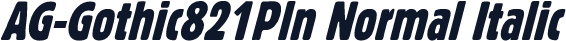 AG-Gothic821Pln Normal Italic
