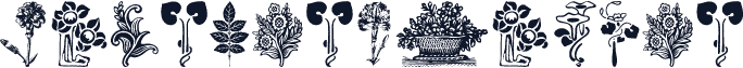 PlantenNBlomen