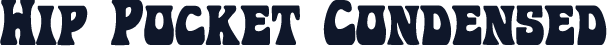 Hip Pocket Condensed